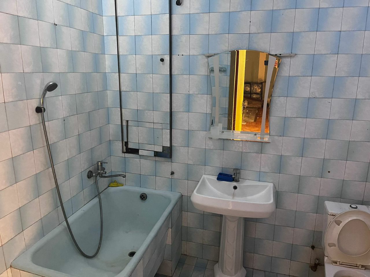 Təmizkar qız otaq yoldaşı lazımdır