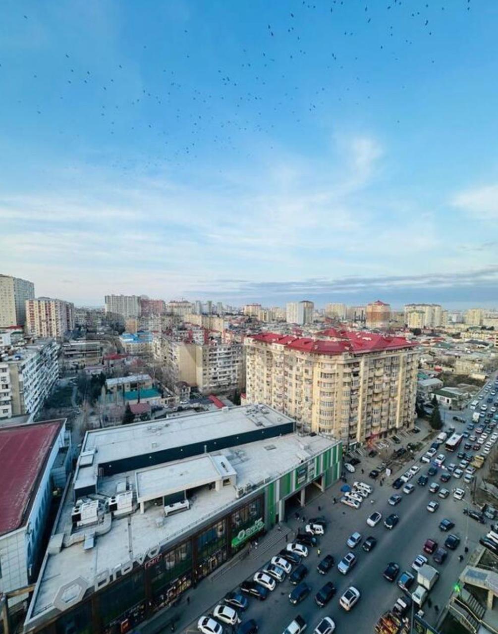 Otaq yoldaşı axtarılır