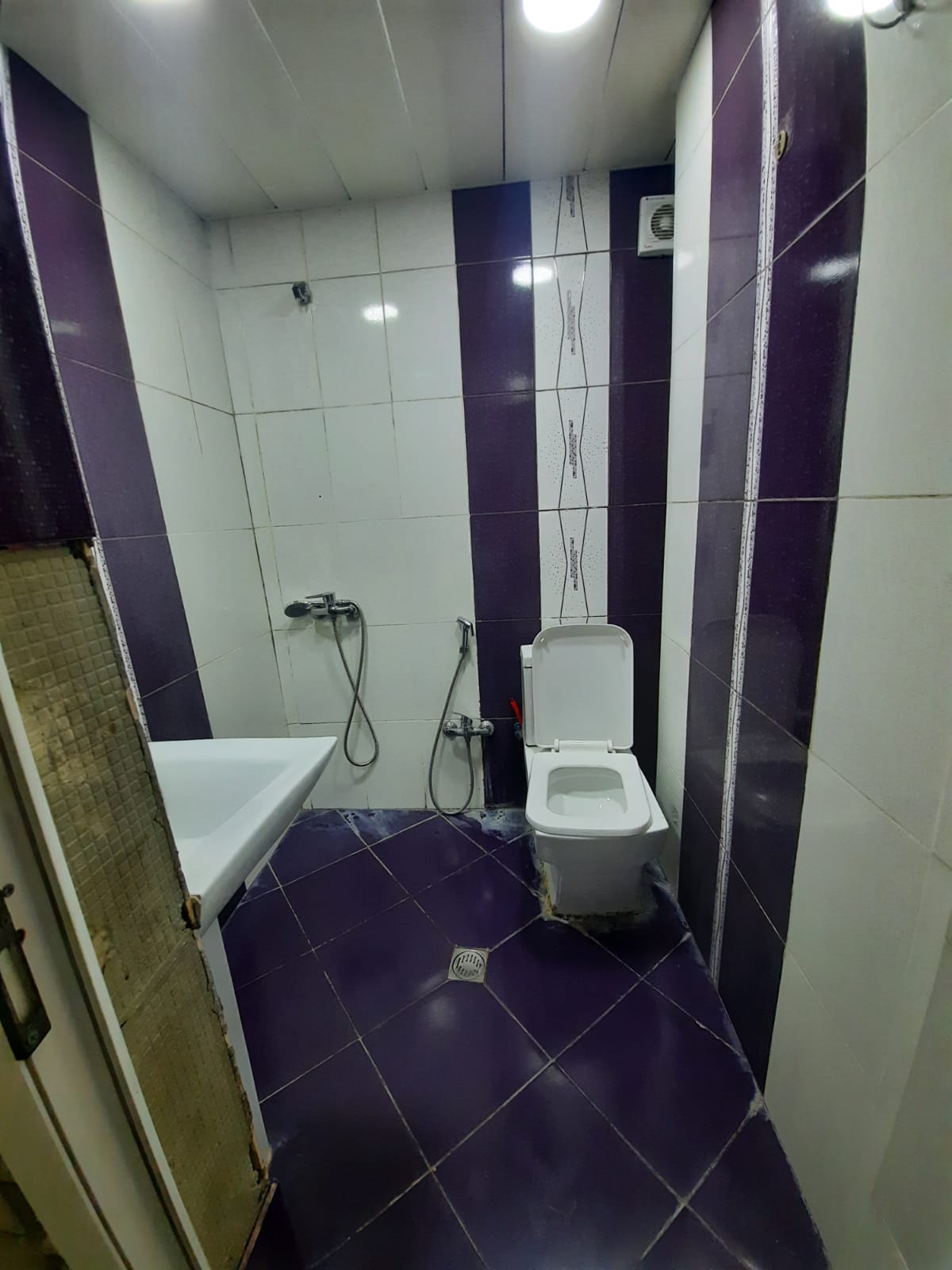 Otaq yoldaşı axtarılır